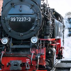 blog-opt-(2) blog-opt-(2)